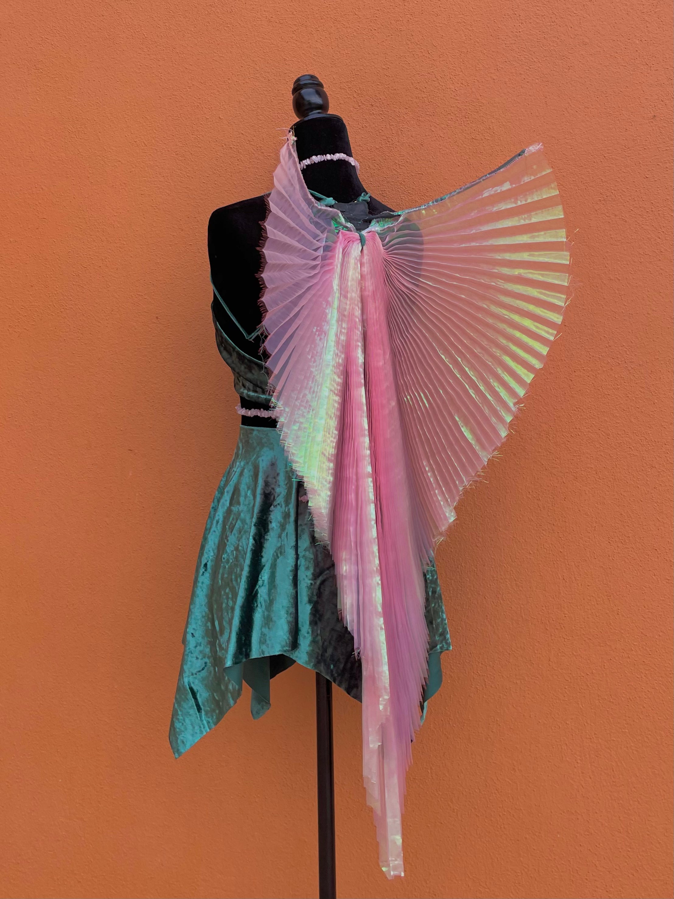 Wings of Fae