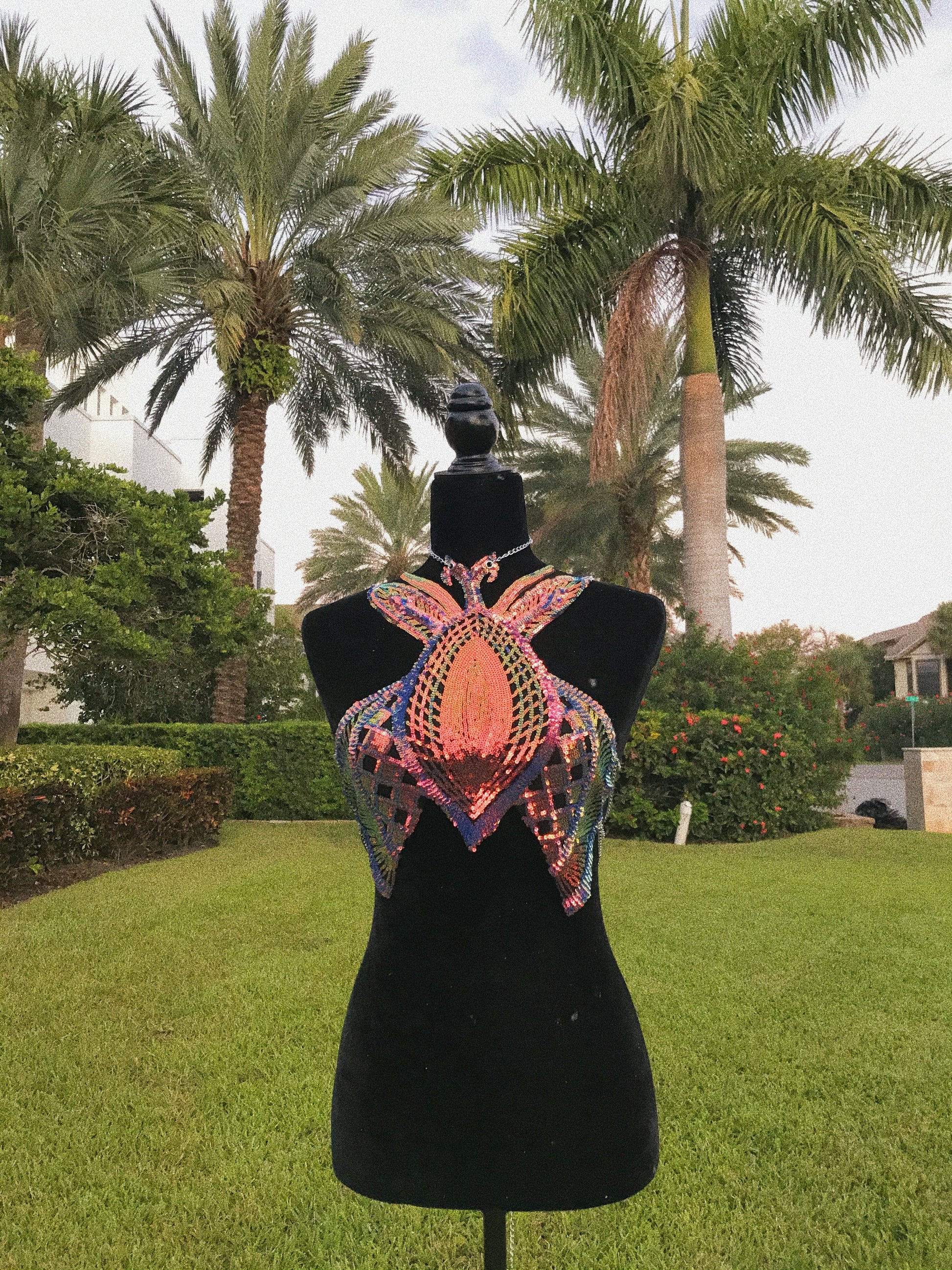Fairy wings