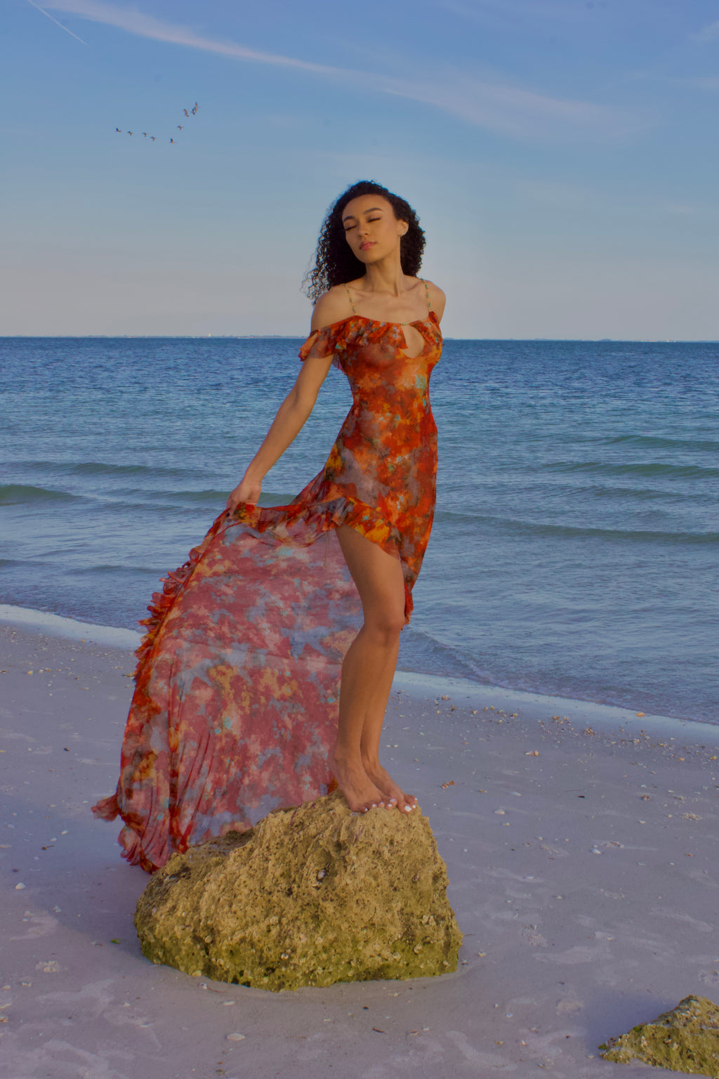 Aerael Dress